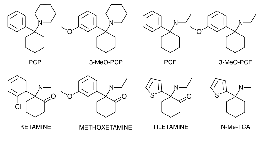 Other Arylcyclohexylamine Structures.png