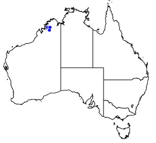 Kimberleyensis-map.jpg