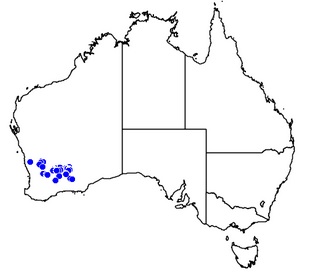 Gibbosa-map.jpg