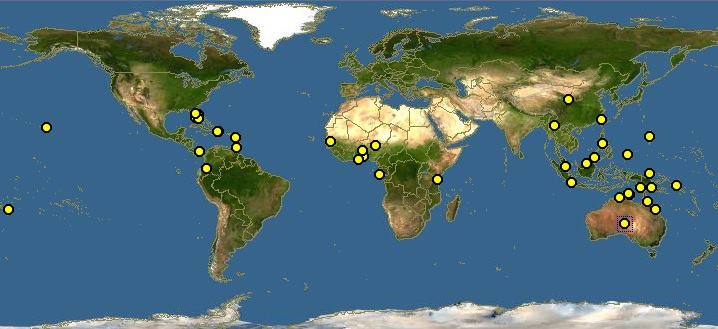 Auriculiformis-worldmap.jpg