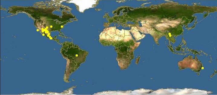 Constricta-worldmap.jpg