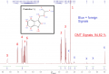 2. Spice II H-NMR.png