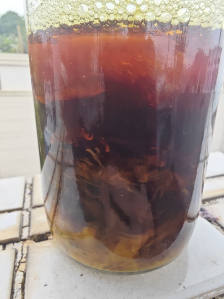 File:IMG 20260131 142109.jpg