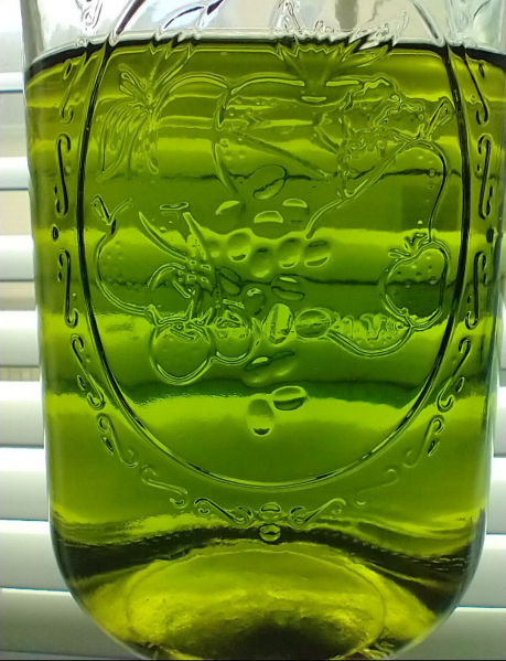 File:Screenshot 20210601-210152-050.png