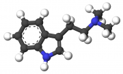 800px-Dimethyltryptamine-3d-sticks.png