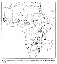 Distribution map for Acacia (Faidherbia) albida from Wickens (1969: 184).